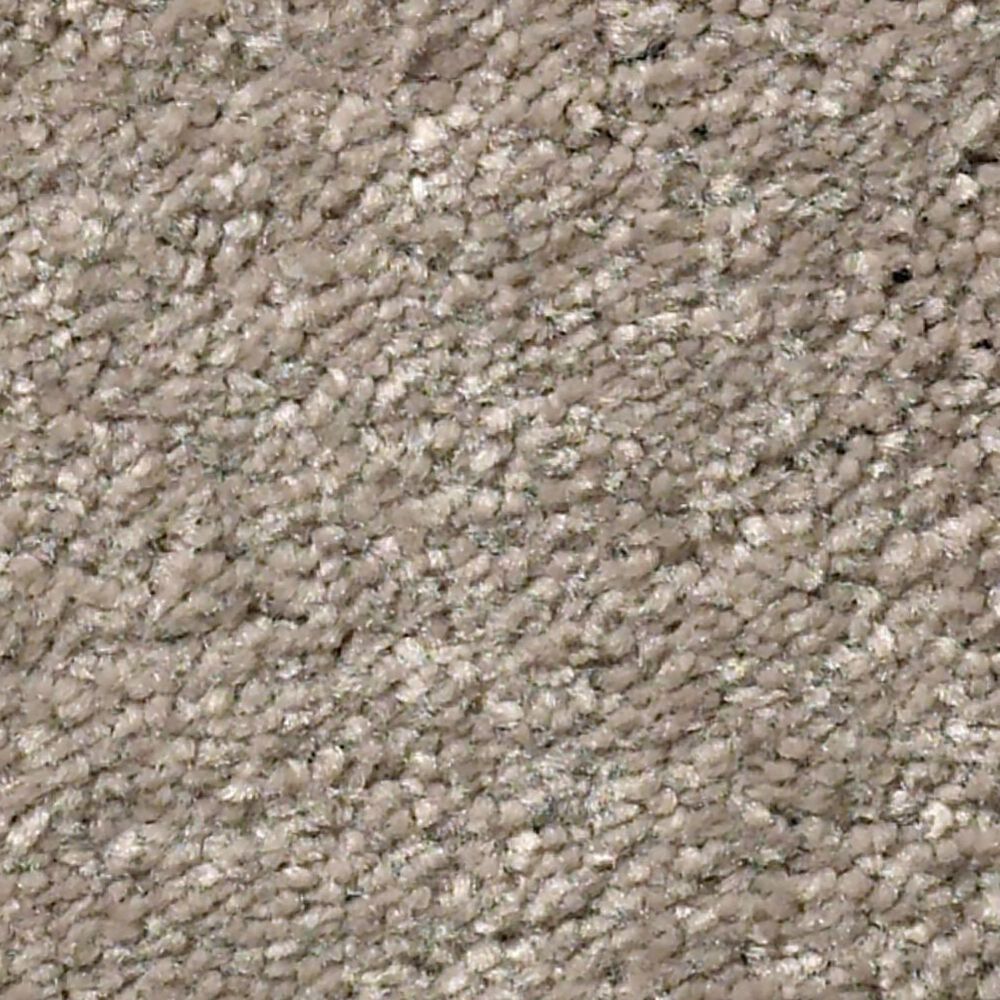 Shaw Well Grounded I 12' Carpet in Natural Contour