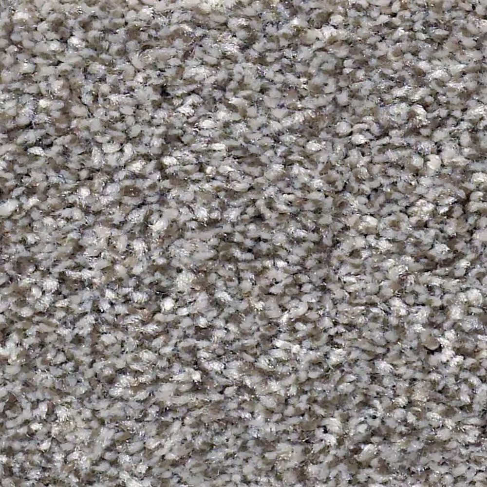 Shaw Just Right II Carpet in Cedar Ridge