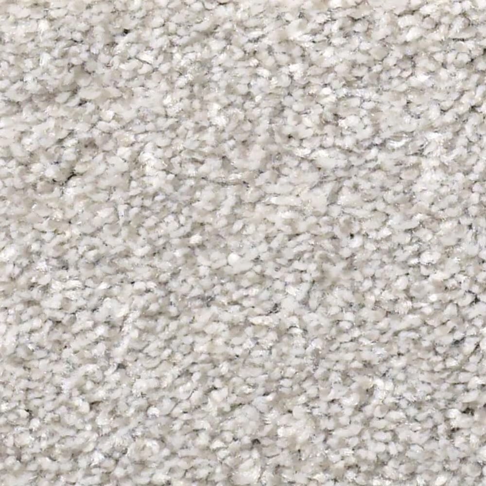 Shaw Just Right II Carpet in Soft Fleece