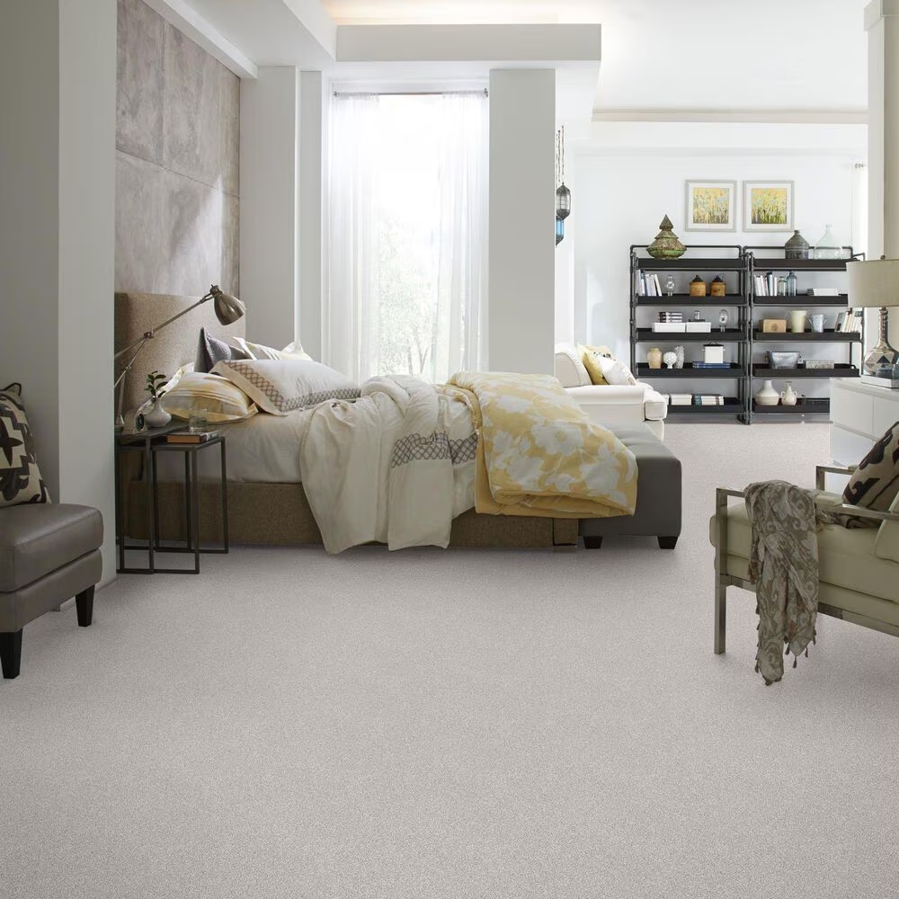 44297-shaw-just-right-ii-carpet-in-soft-fleece-1.jpg