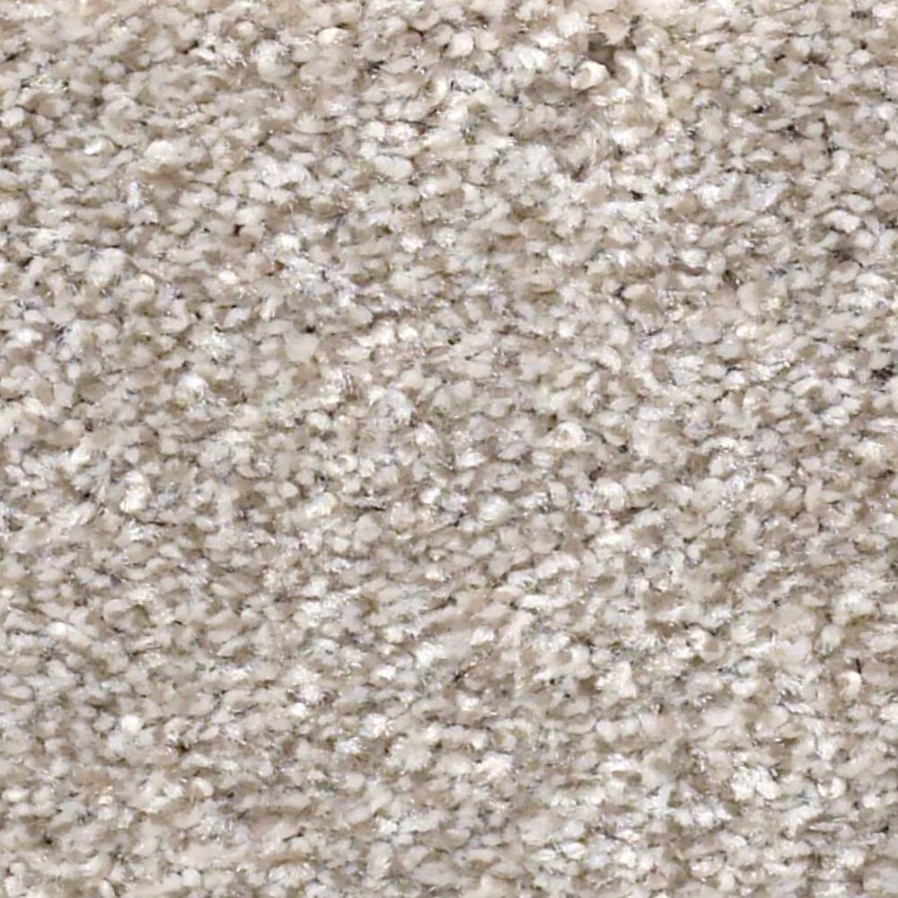 Shaw Just Right II Carpet in Winter Dunes