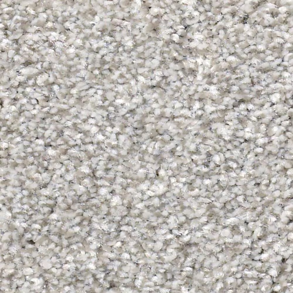 Shaw Just Right II Carpet in Clay