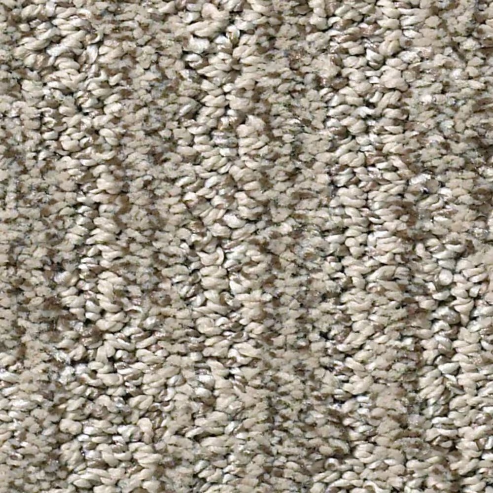 Shaw Simply the Best Big Easy Carpet in Mesa