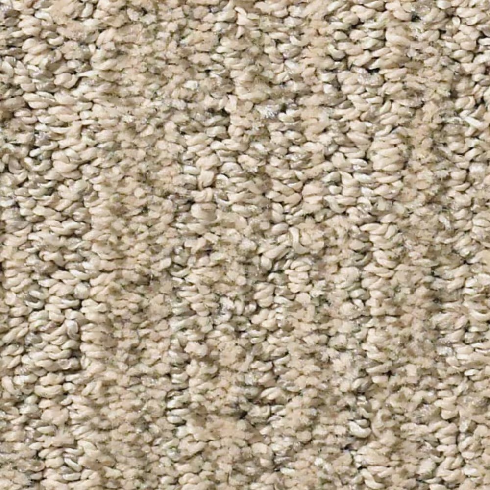 Shaw Simply the Best Big Easy Carpet in Honeycomb