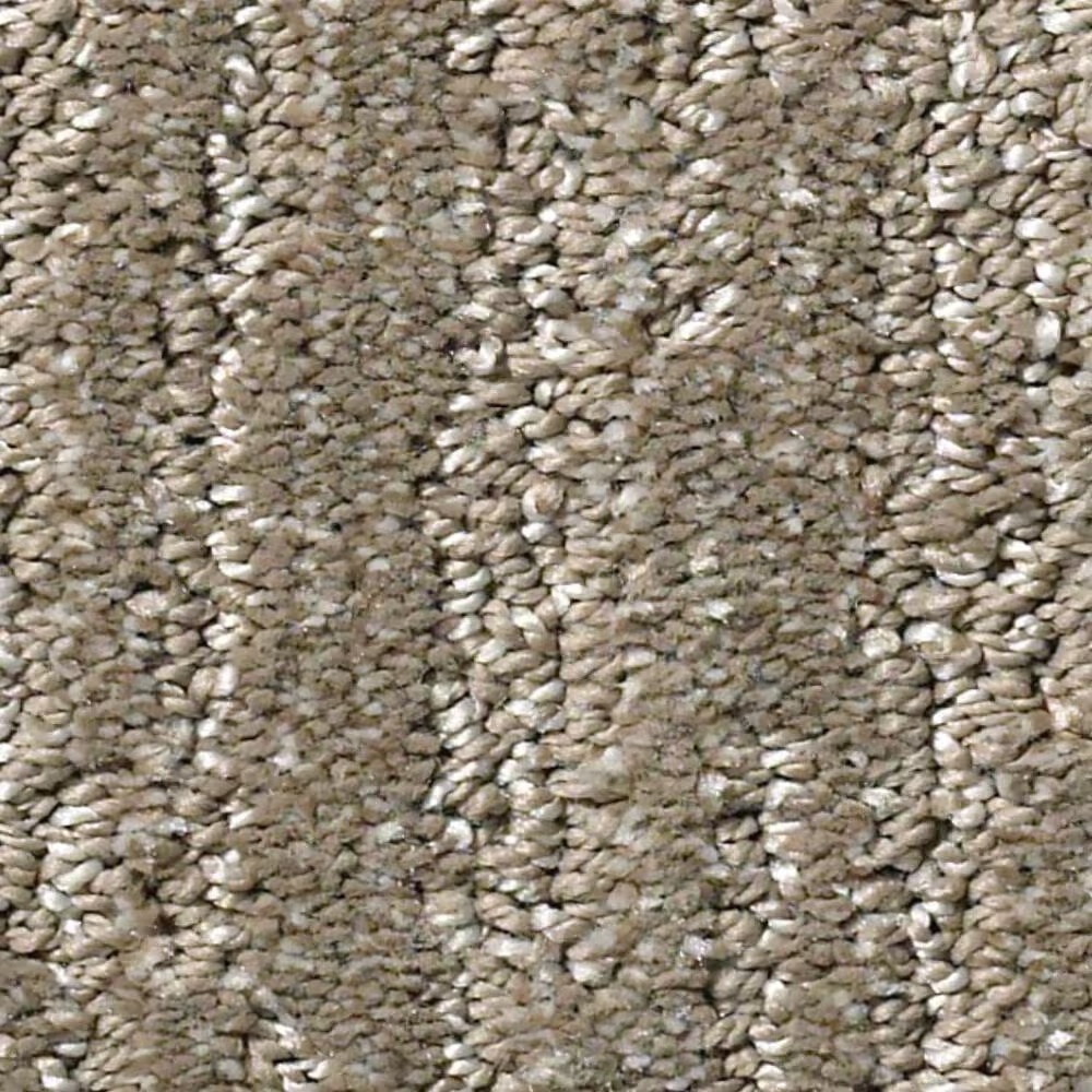 Shaw Simply the Best Big Easy Carpet in Papoose