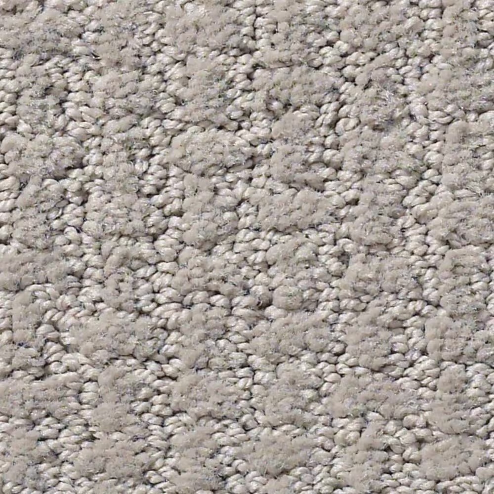 Shaw Foundations Complete Control Carpet in Silhouette