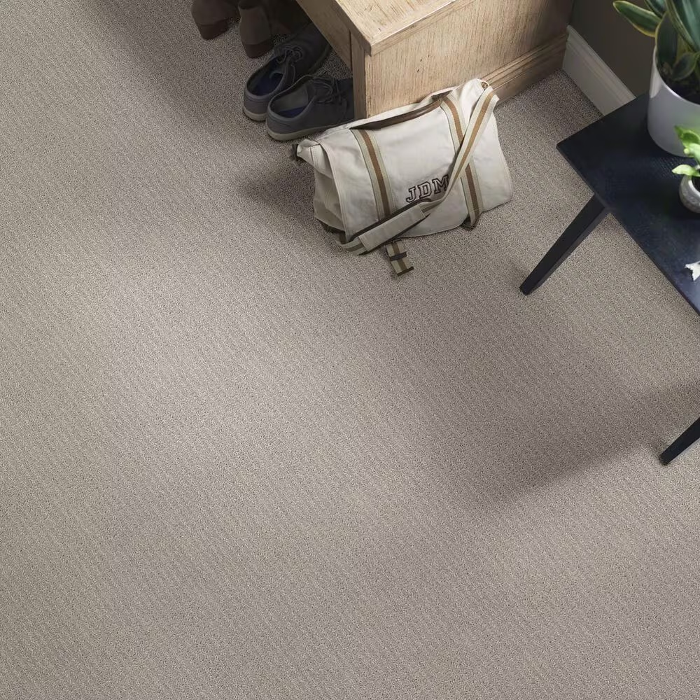 44318-shaw-foundations-complete-control-carpet-in-silhouette-1.jpg