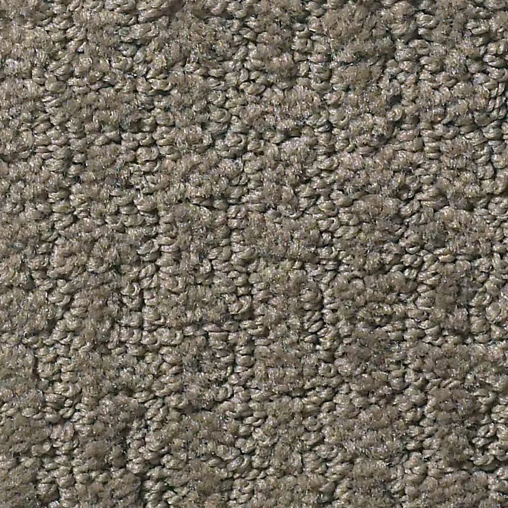 Shaw Foundations Complete Control Carpet in Front Gate