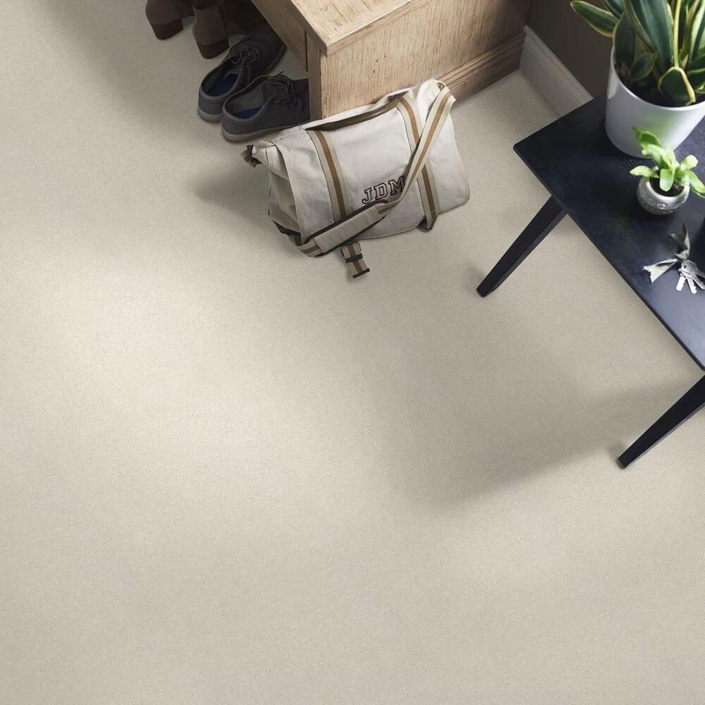 44900-shaw-well-grounded-ii-15-carpet-in-minimalist-1.jpg