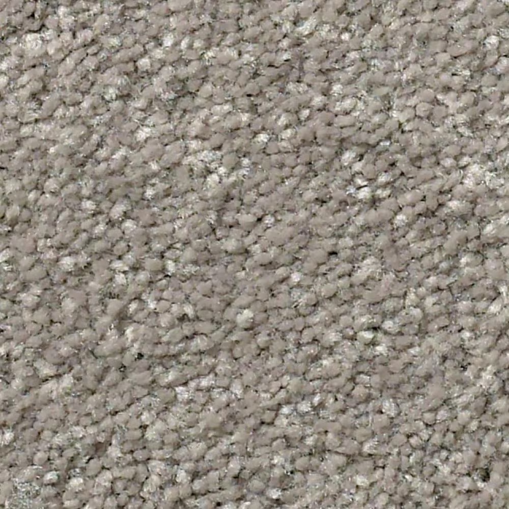 Shaw Well Grounded II 15' Carpet in Tree Bark