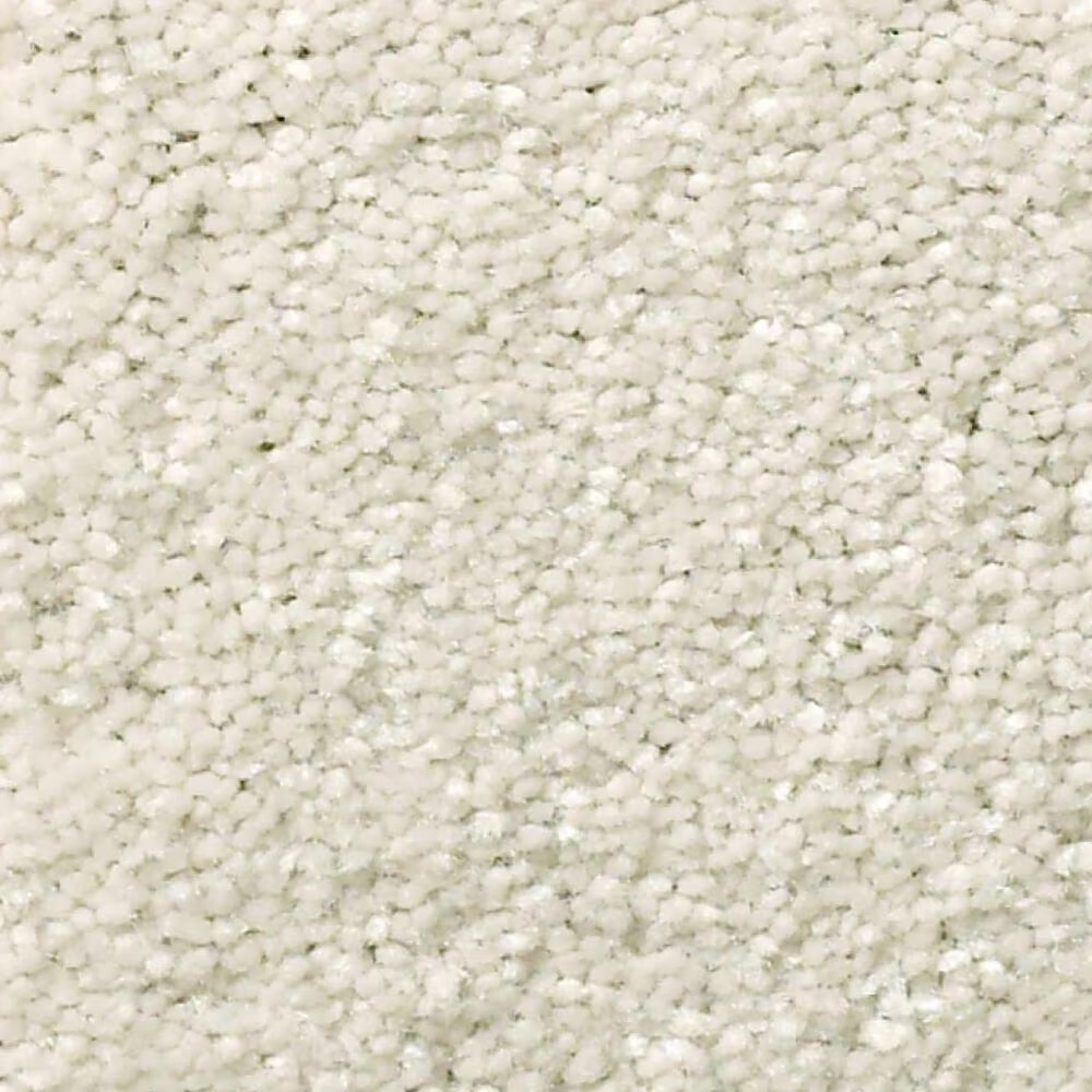 Shaw Well Grounded I 15' Carpet in Minimalist