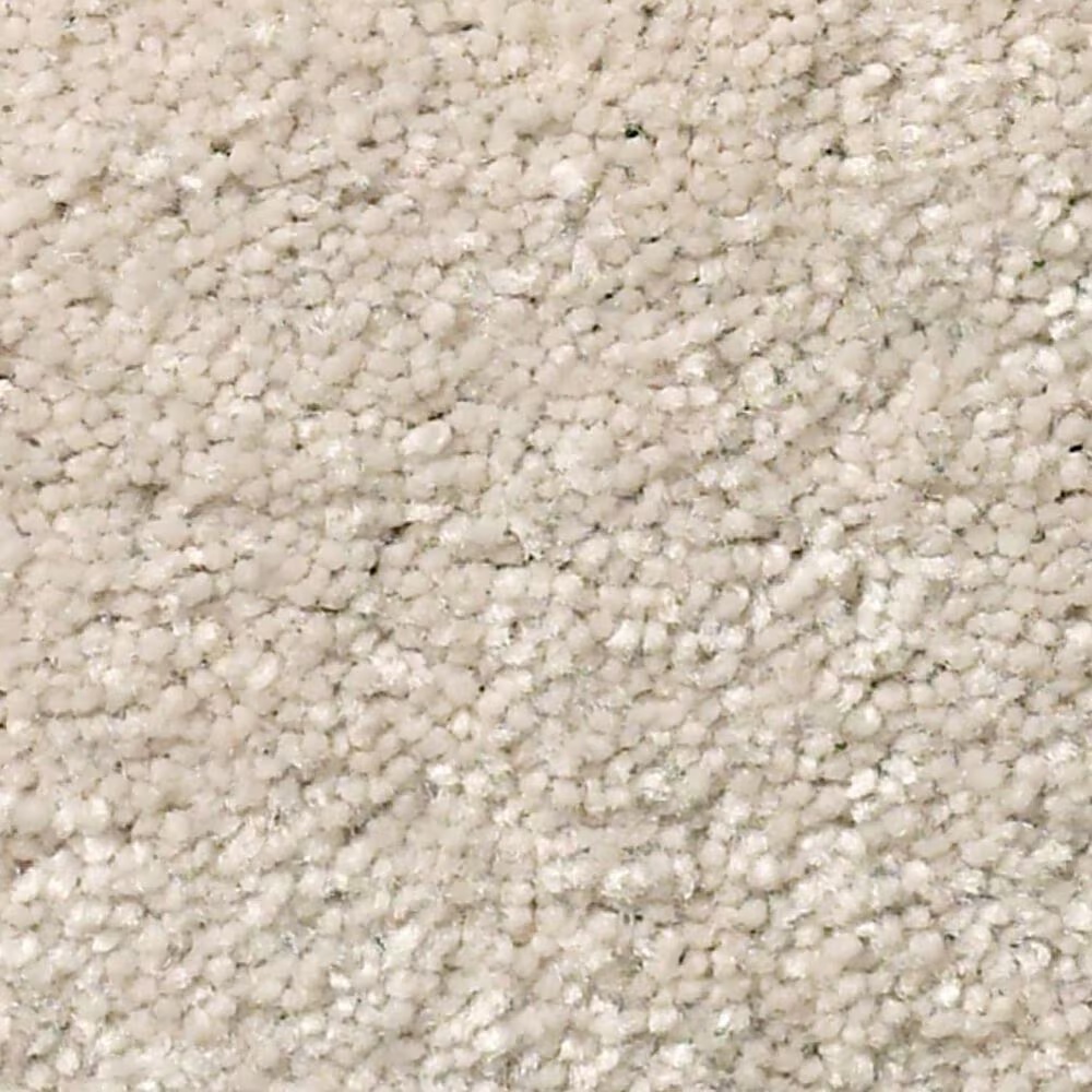 Shaw Well Grounded I 15' Carpet in Bleached