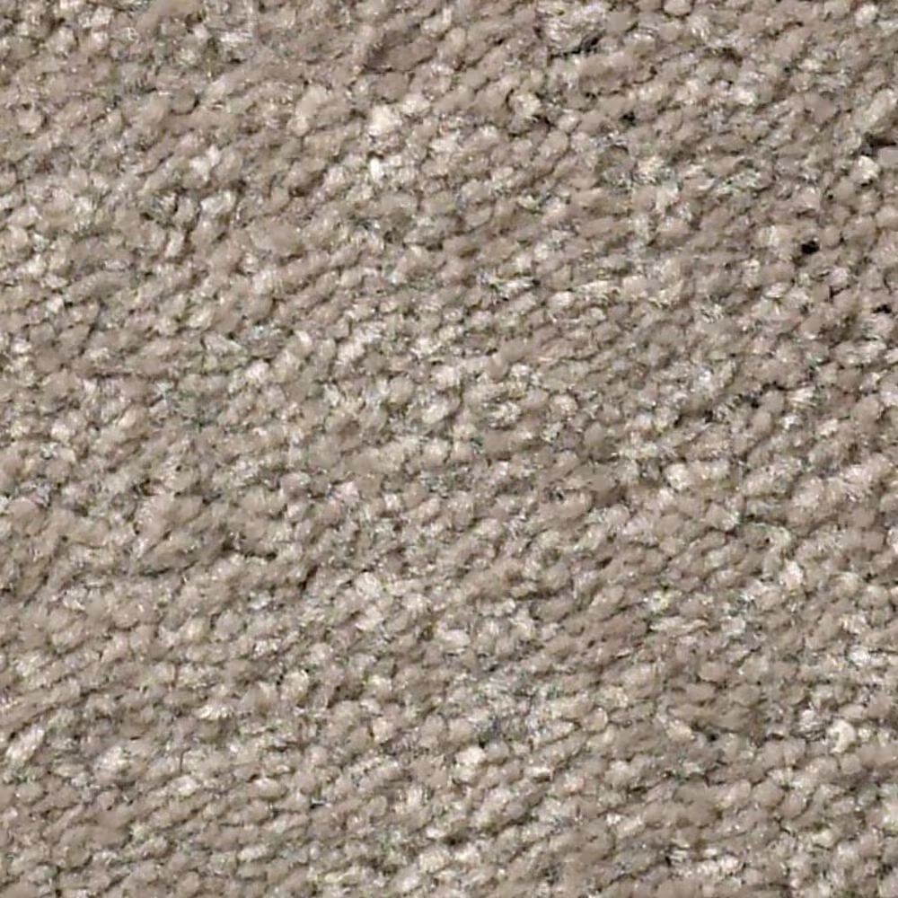 Shaw Well Grounded I 15' Carpet in Natural Contour