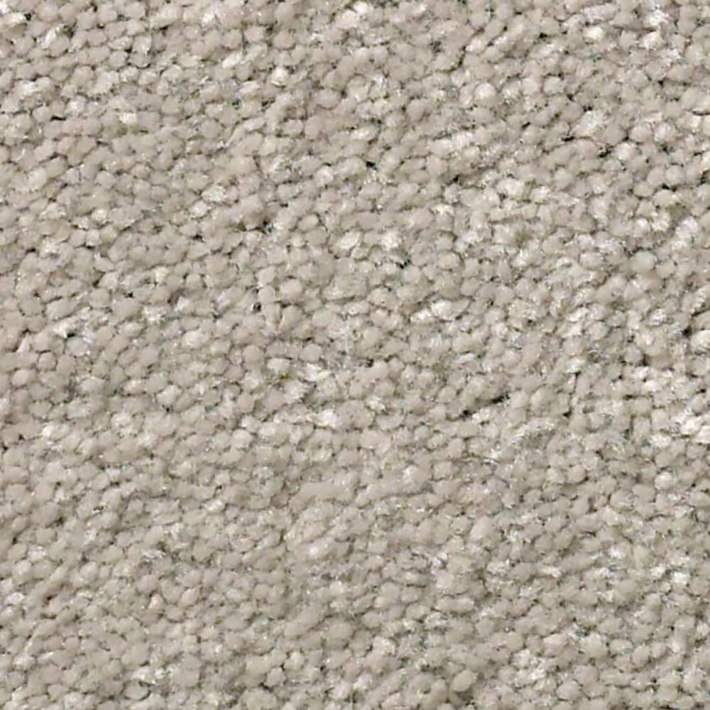 Shaw Well Grounded III 15' Carpet in Greige