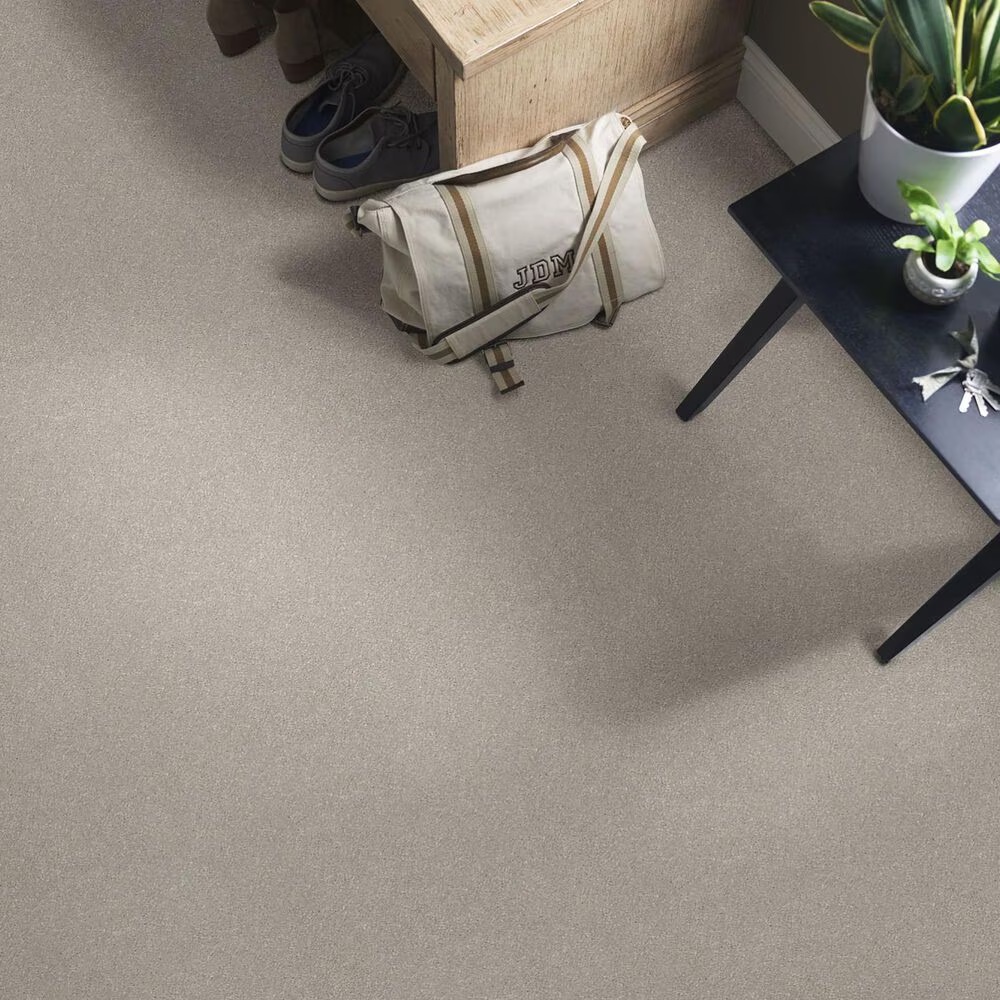 44921-shaw-well-grounded-iii-15-carpet-in-greige-1.jpg