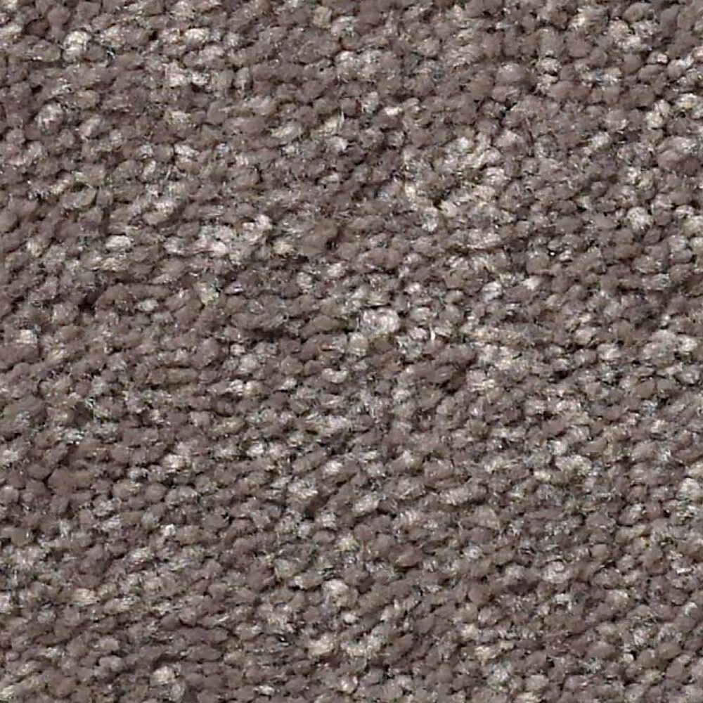 Shaw Well Grounded III 15' Carpet in Pewter