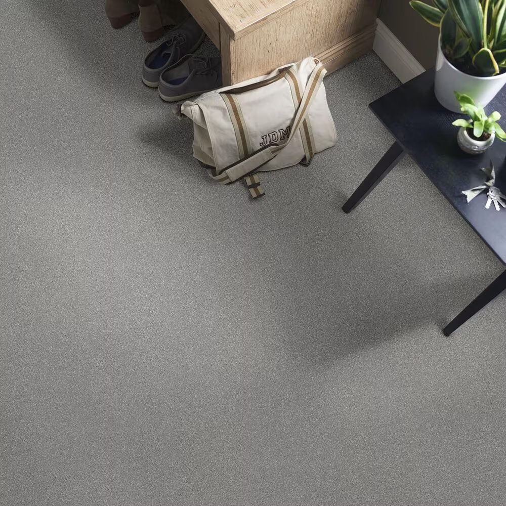 44924-shaw-well-grounded-iii-15-carpet-in-dusty-trail-1.jpg