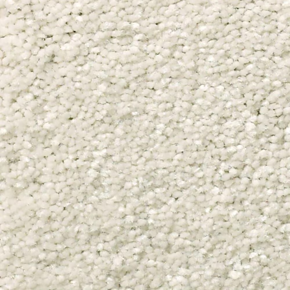 Shaw Well Grounded III 15' Carpet in Minimalist