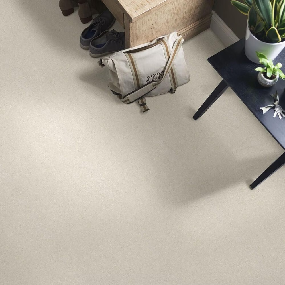 44925-shaw-well-grounded-iii-15-carpet-in-minimalist-1.jpg