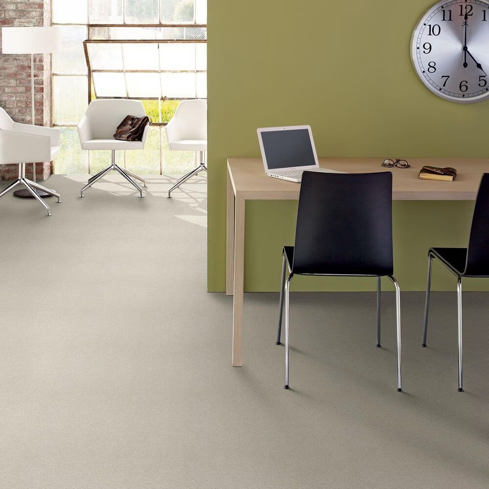 44925-shaw-well-grounded-iii-15-carpet-in-minimalist-1.jpg