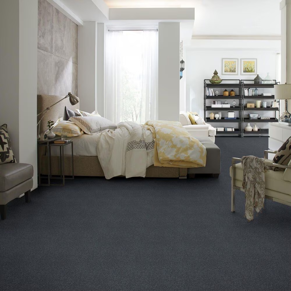 44930-shaw-well-grounded-iii-15-carpet-in-iron-1.jpg