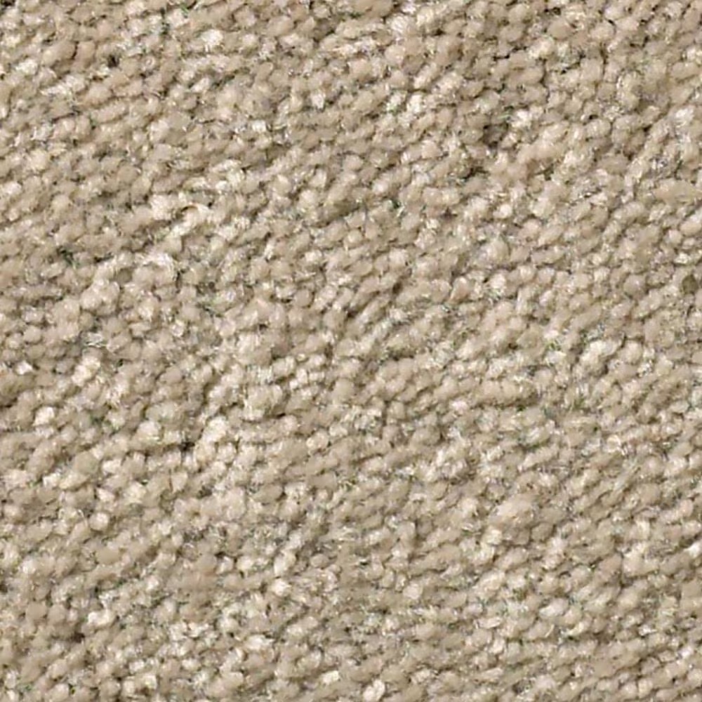 Shaw Well Grounded III 15' Carpet in Raw Lumber