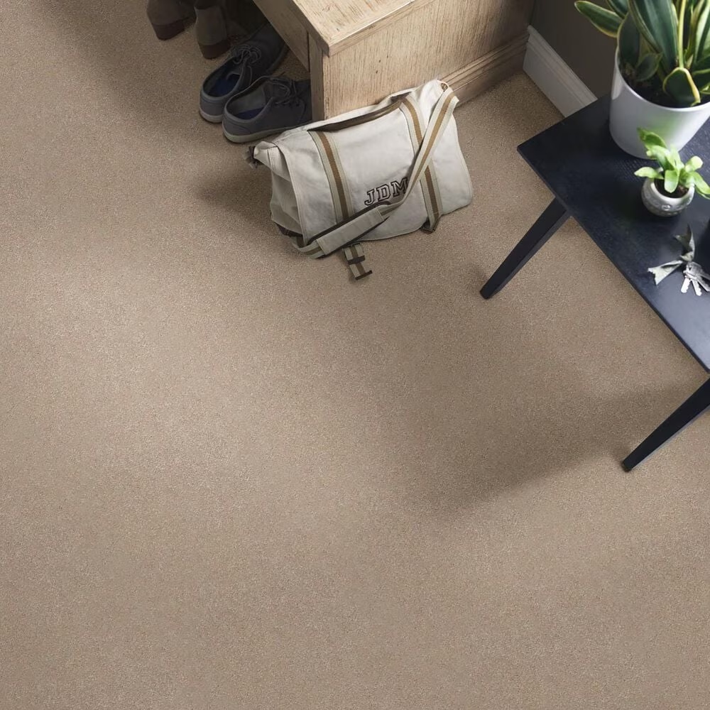 44932-shaw-well-grounded-iii-15-carpet-in-raw-lumber-1.jpg