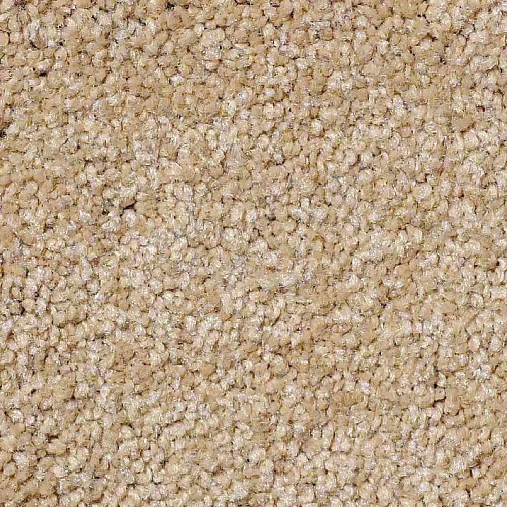 Shaw Shingle Creek III 15' Carpet in Cornfield
