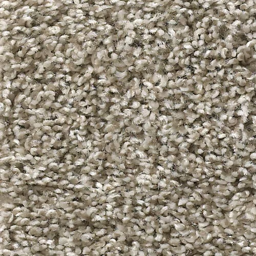 Shaw Shake It Up Carpet in Owl