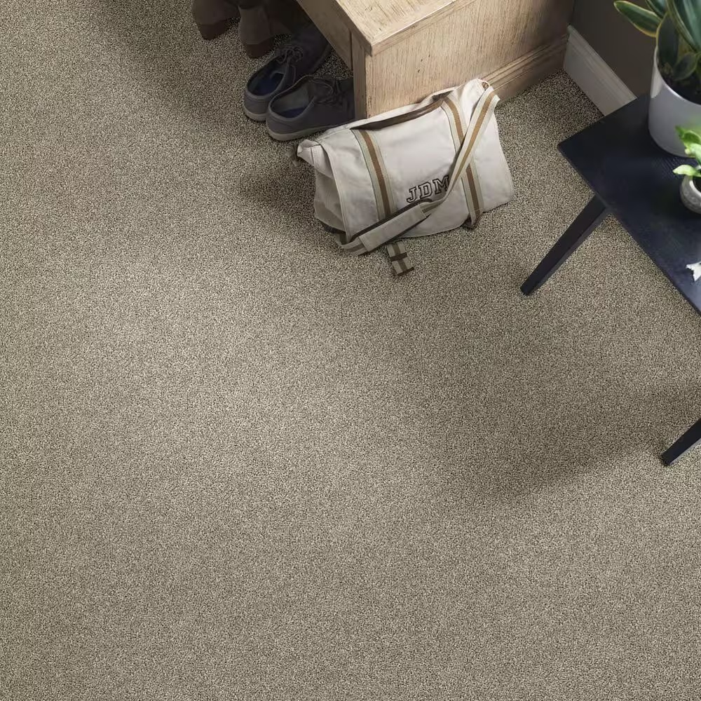 45372-shaw-shake-it-up-carpet-in-owl-1.jpg