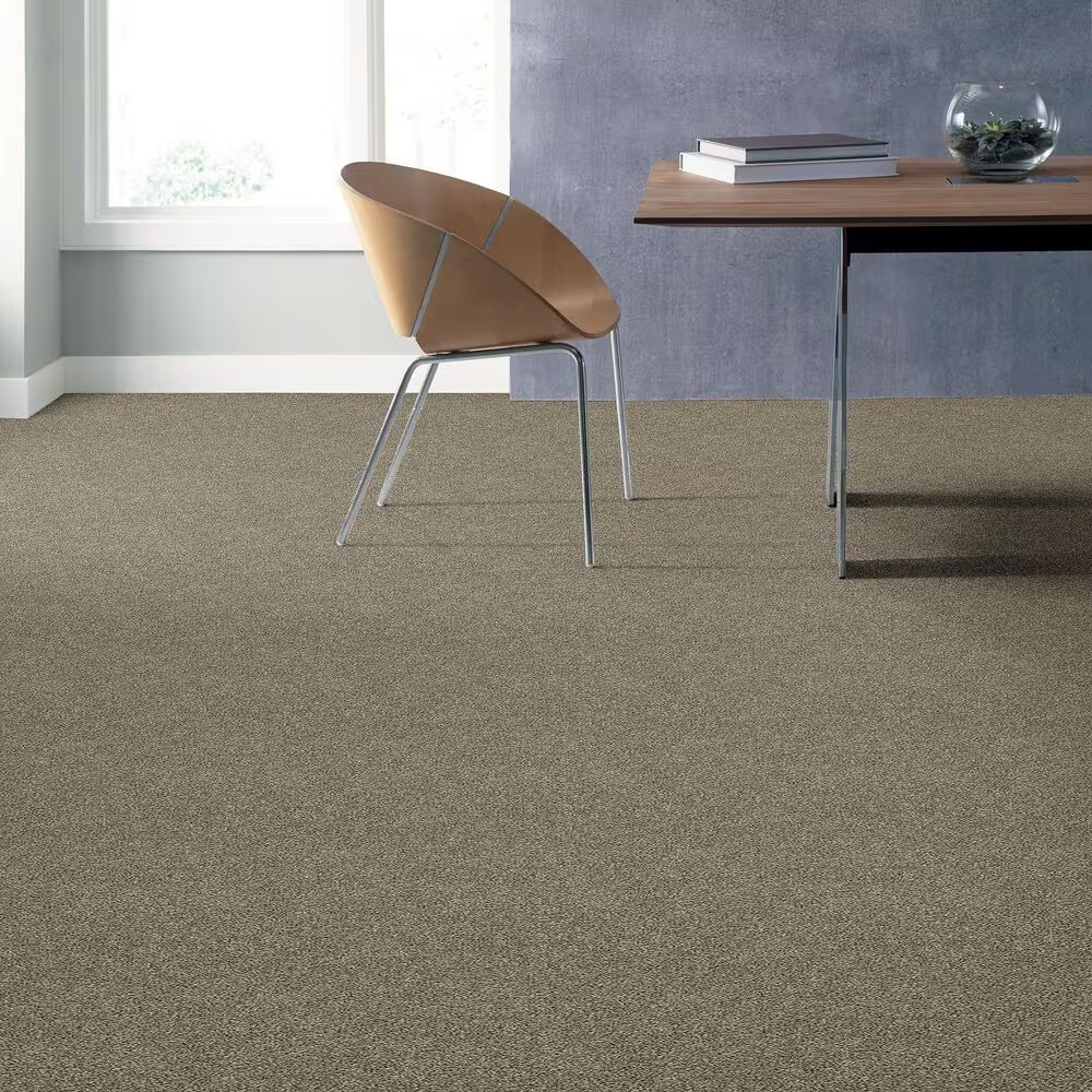 45372-shaw-shake-it-up-carpet-in-owl-1.jpg