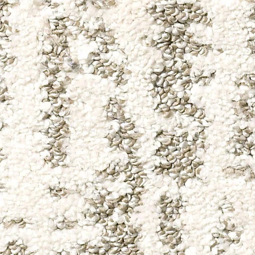 Shaw Obvious Choice E9648 Carpet in Snow Fall