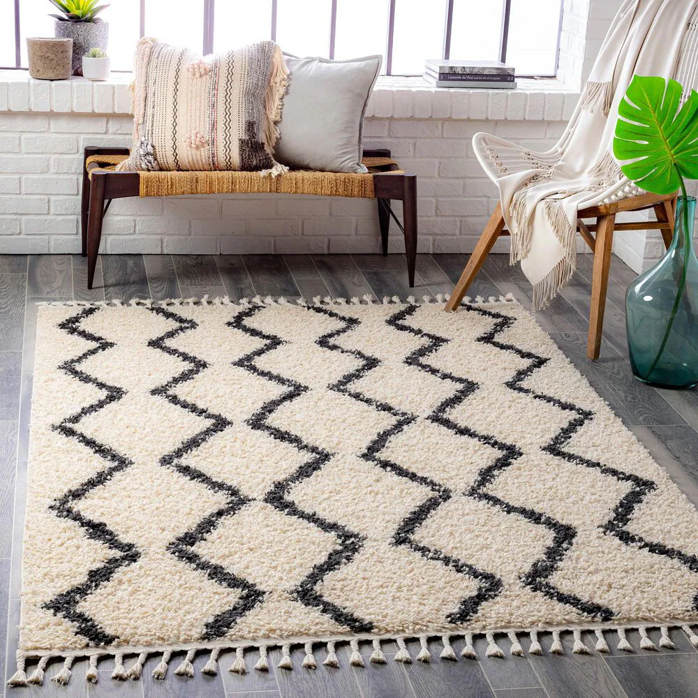 45448-surya-berber-shag-bbe2303-5-3-x-7-3-charcoal-and-light-beige-area-rug-1.jpg