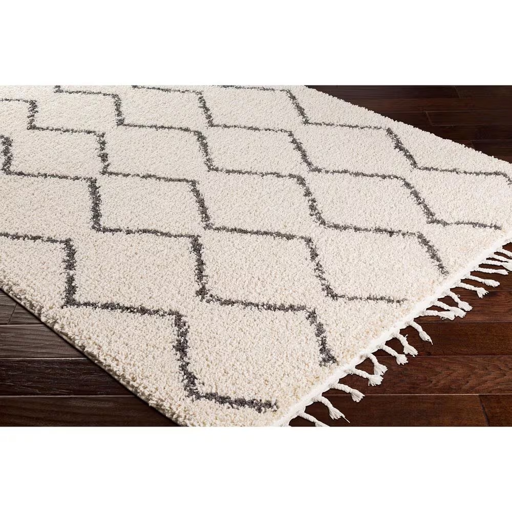 45448-surya-berber-shag-bbe2303-5-3-x-7-3-charcoal-and-light-beige-area-rug-1.jpg