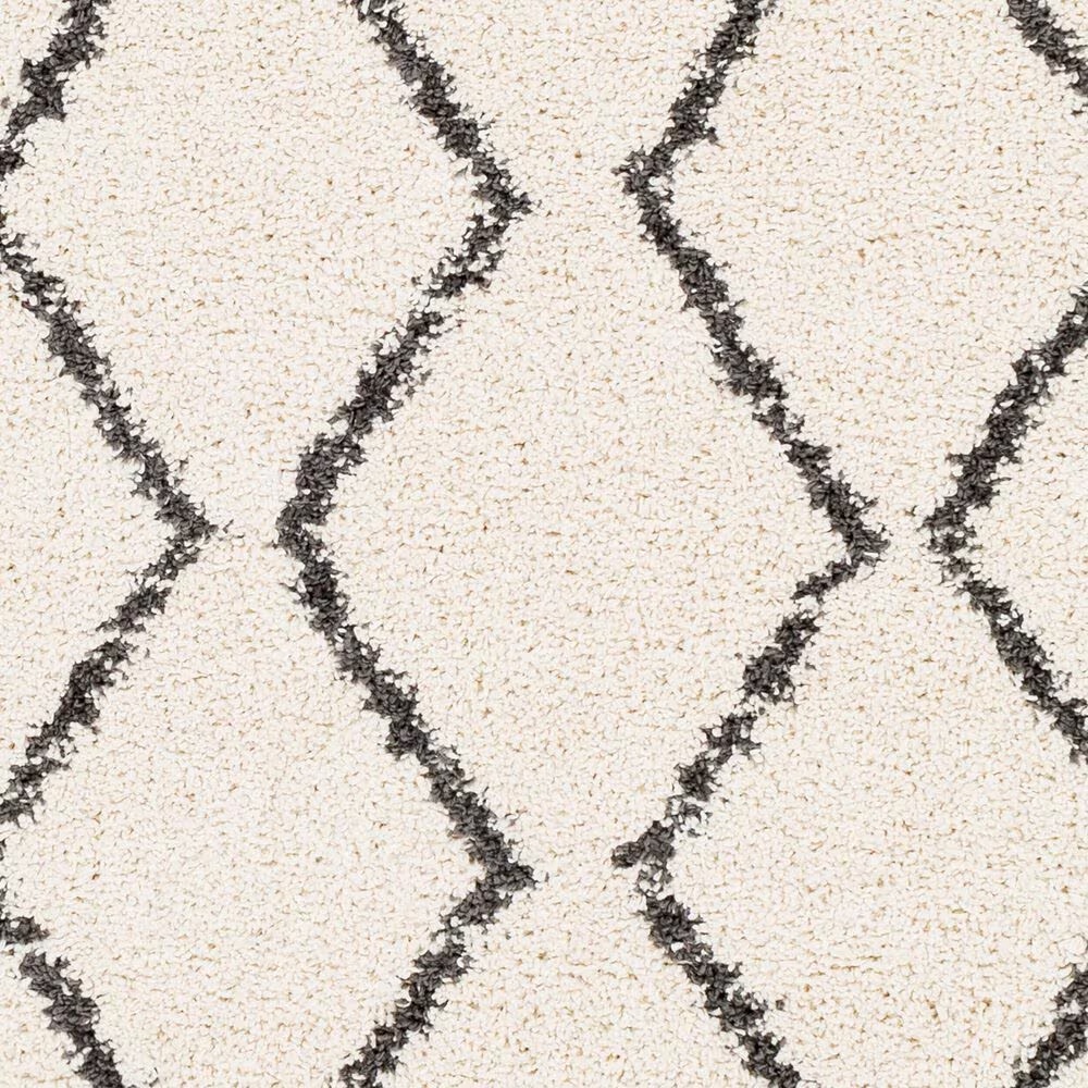 45448-surya-berber-shag-bbe2303-5-3-x-7-3-charcoal-and-light-beige-area-rug-1.jpg