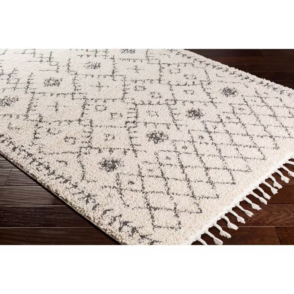 45451-surya-berber-shag-bbe2302-5-3-x-7-3-charcoal-and-light-beige-area-rug-1.jpg