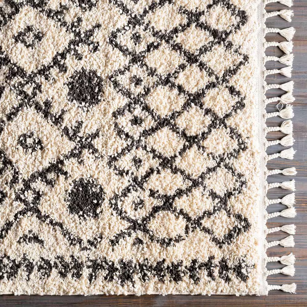 45451-surya-berber-shag-bbe2302-5-3-x-7-3-charcoal-and-light-beige-area-rug-1.jpg