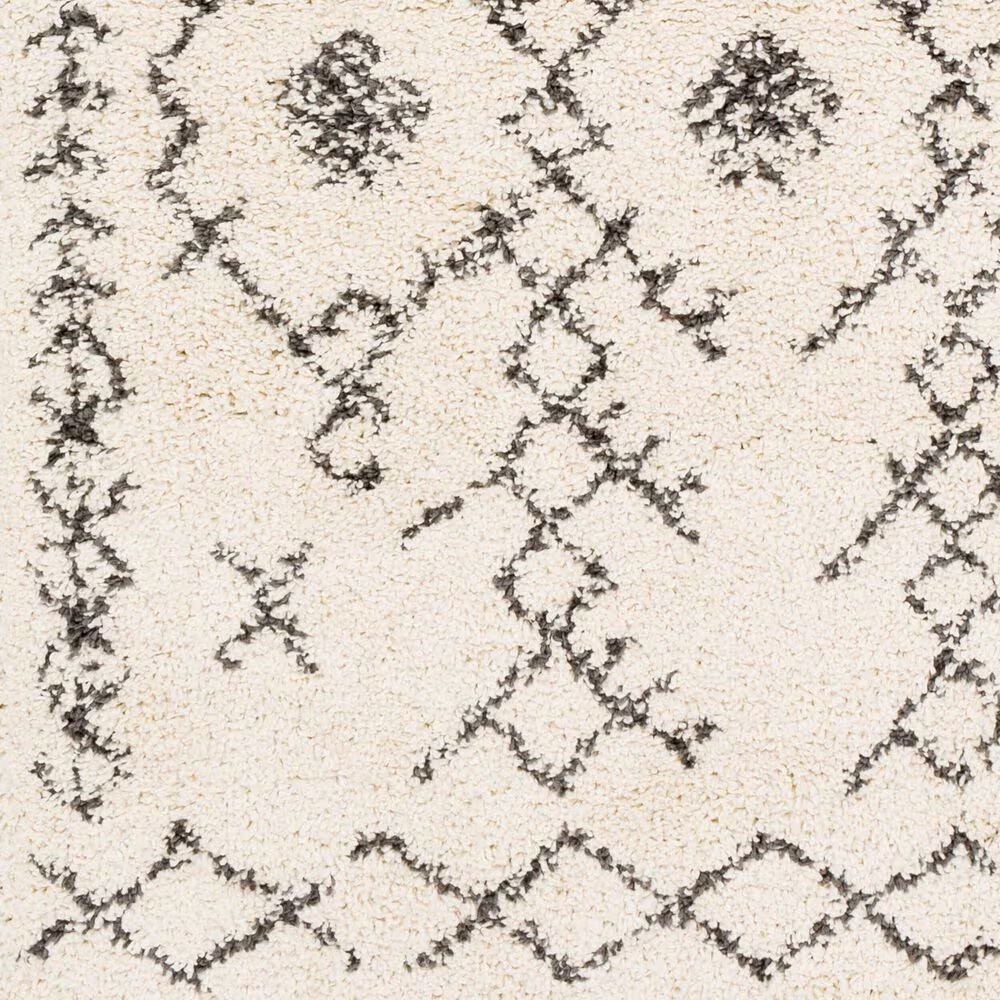 45451-surya-berber-shag-bbe2302-5-3-x-7-3-charcoal-and-light-beige-area-rug-1.jpg