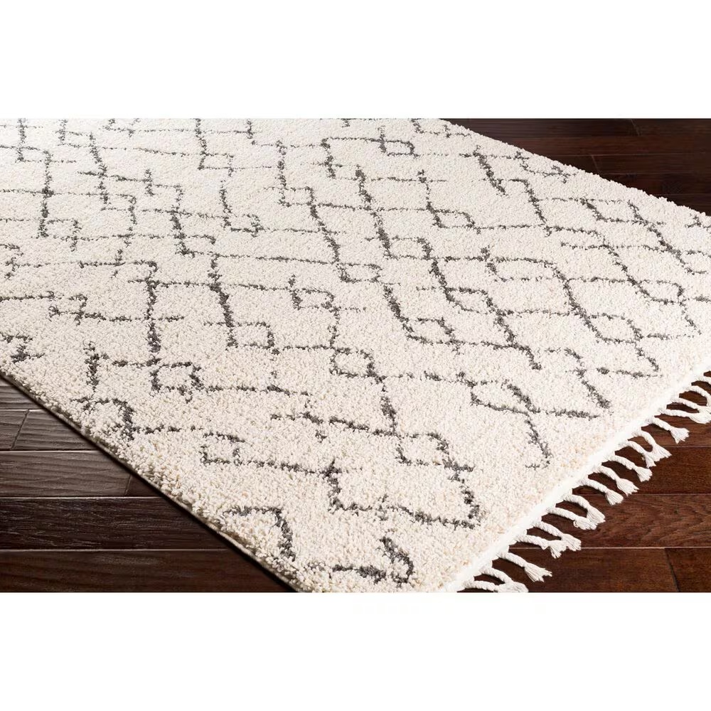 45462-surya-berber-shag-bbe2301-7-10-x-10-2-charcoal-and-light-beige-area-rug-1.jpg