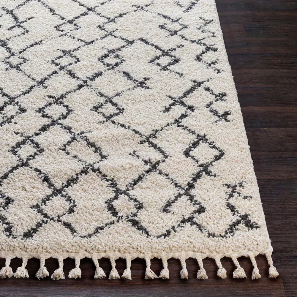 45462-surya-berber-shag-bbe2301-7-10-x-10-2-charcoal-and-light-beige-area-rug-1.jpg