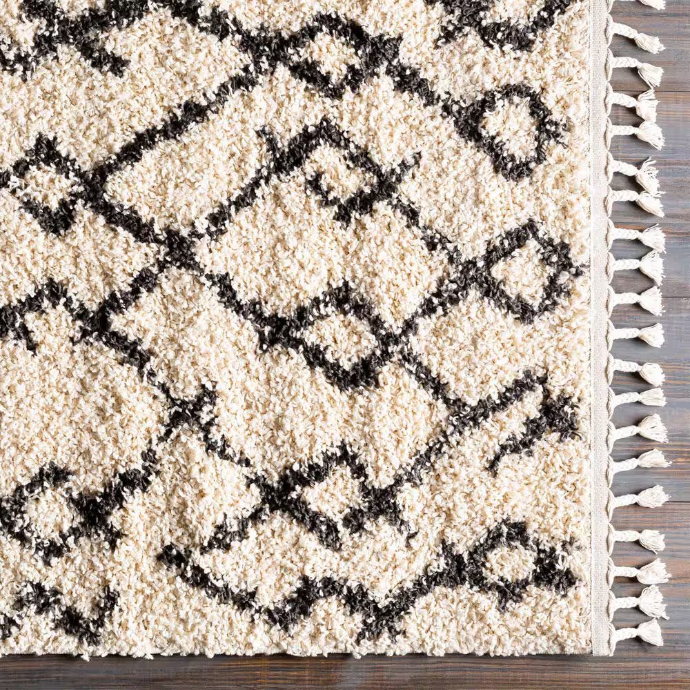 45462-surya-berber-shag-bbe2301-7-10-x-10-2-charcoal-and-light-beige-area-rug-1.jpg