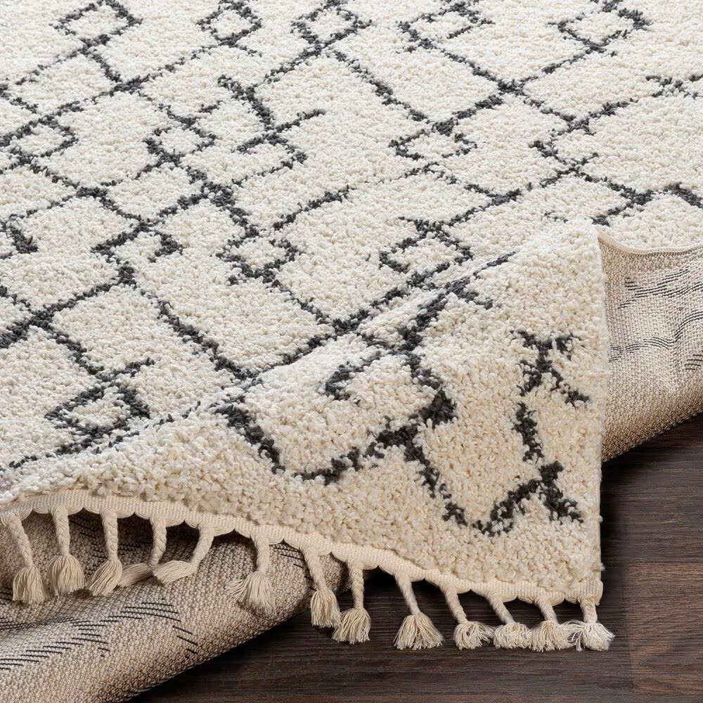 45462-surya-berber-shag-bbe2301-7-10-x-10-2-charcoal-and-light-beige-area-rug-1.jpg
