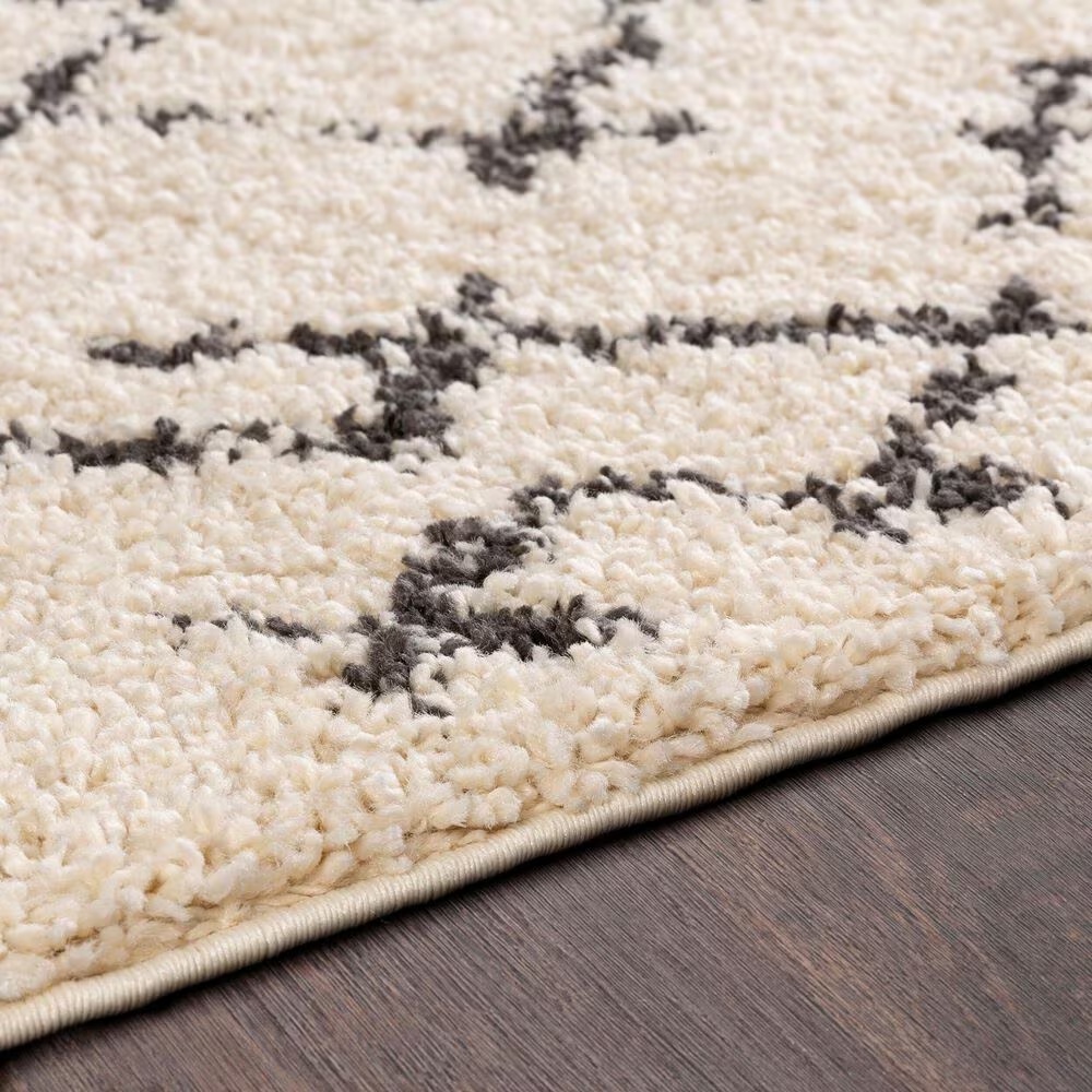 45462-surya-berber-shag-bbe2301-7-10-x-10-2-charcoal-and-light-beige-area-rug-1.jpg