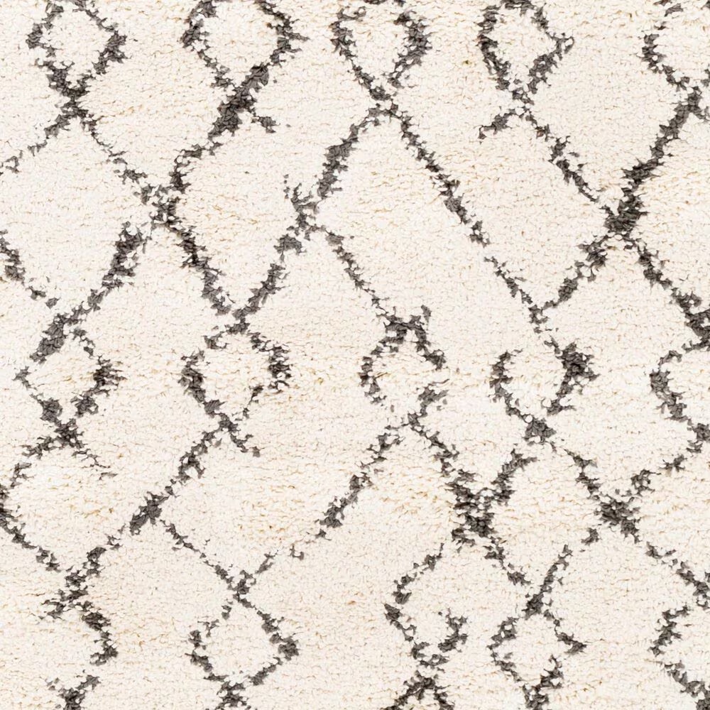 45462-surya-berber-shag-bbe2301-7-10-x-10-2-charcoal-and-light-beige-area-rug-1.jpg