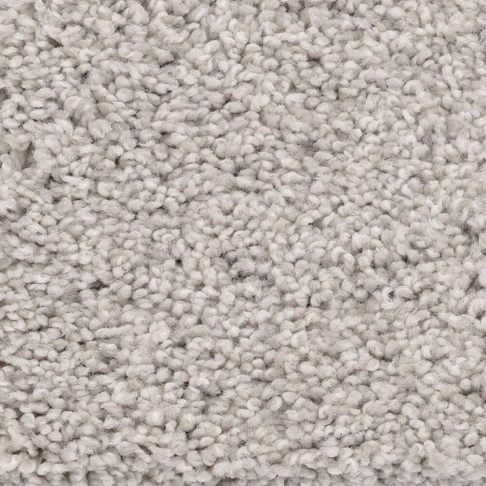 Anderson Tuftex Caress Cozy Harbor II Carpet in Thoughtful