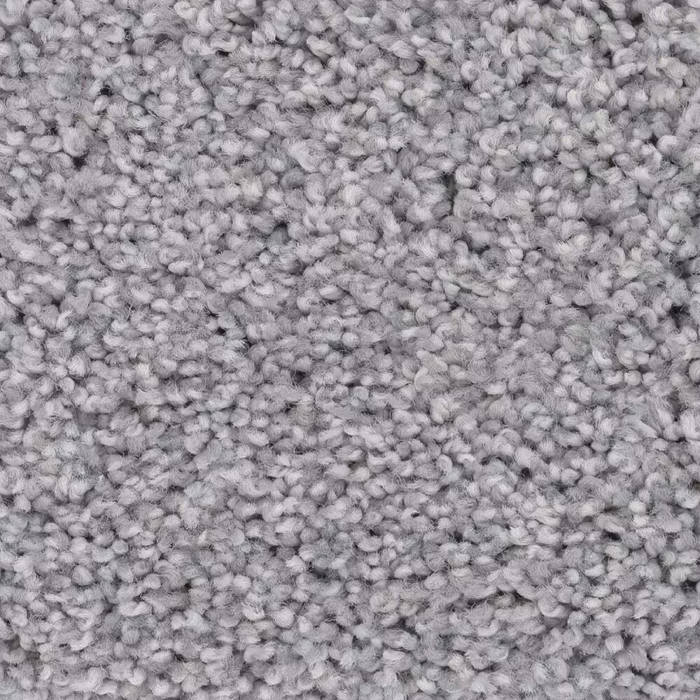 Anderson Tuftex Caress by Shaw Cozy Harbor II Carpet in Cool Harmony