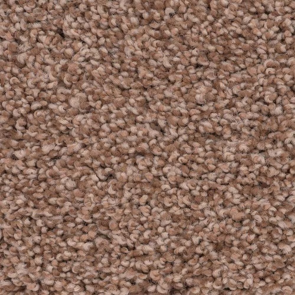 Anderson Tuftex CaressCozy Harbor II Carpet in Sunbaked