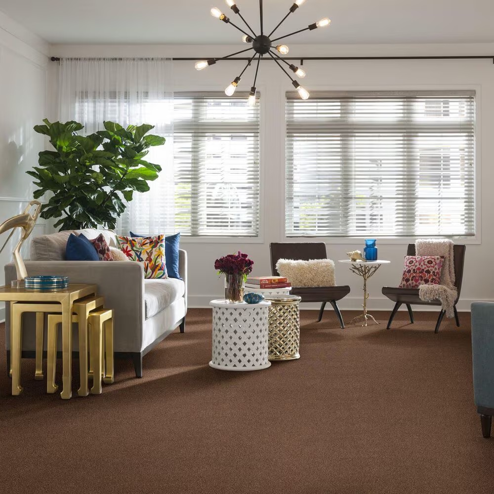 45486-anderson-tuftex-caresscozy-harbor-ii-carpet-in-sunbaked-1.jpg