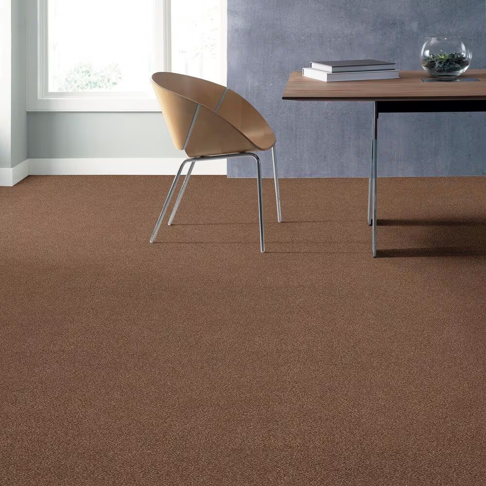 45486-anderson-tuftex-caresscozy-harbor-ii-carpet-in-sunbaked-1.jpg