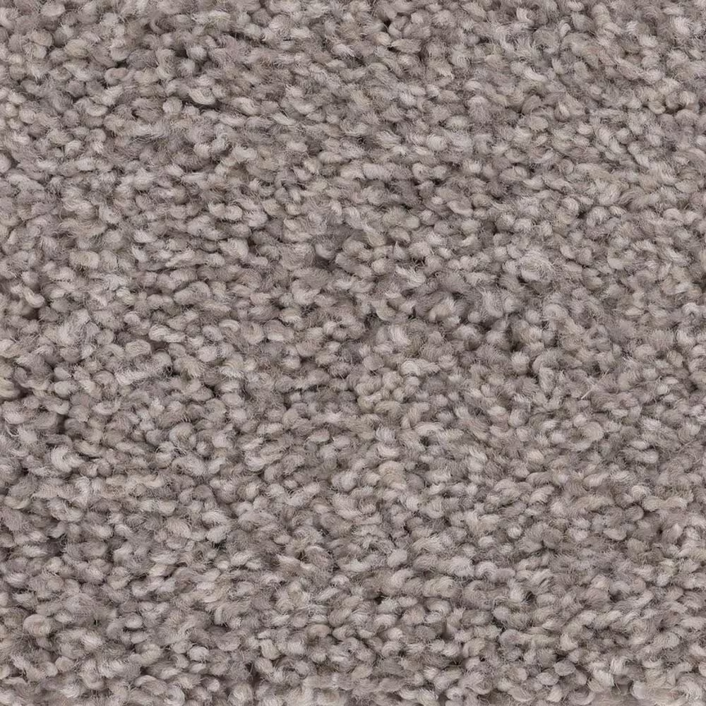 Anderson Tuftex Caress by Shaw Cozy Harbor II Carpet in Stucco